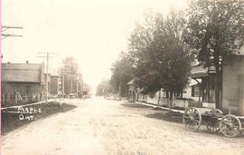 Maple Streetscape, 1910