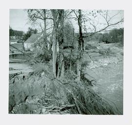 Hurricane Hazel Damage, 1954