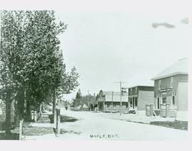 Maple Streetscape, n.d.