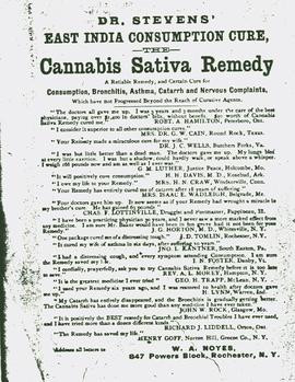 Sophia Baker's Home Remedy Notebook, Cannabis Sativa Remedy, n.d.