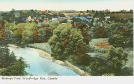 Woodbridge, Birds Eye View, 1909