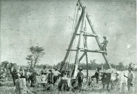 Early Method of Stump Pulling Peter Aitchison standing on tripod, n.d.