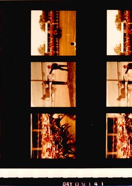 Woodbridge Fair Photos, 1985