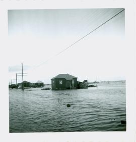 Hurricane Hazel Damage, 1954