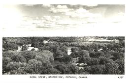 Rural Scene, Woodbridge, n.d.