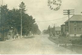 Postcards of Maple, ca. 1900